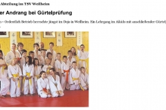 2014-08-12-Aikido(WM-Tagblatt-online)