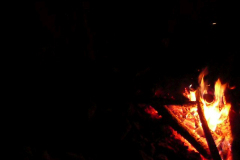 2009_Ugau012