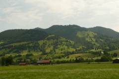 2012_Ugau009