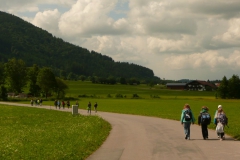 2013_Ugau005