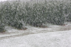 2013_GG_Suedtirol003