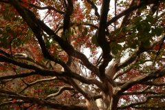 2013_GG_Suedtirol004