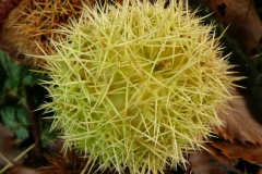 2013_GG_Suedtirol009