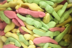 Bengerl Turiner November 2016_-109