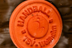 Bengerl Turiner November 2016_-112