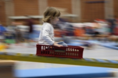 Bengerl Turiner November 2016_-209