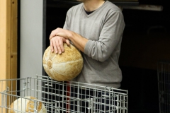 Bengerl Turiner November 2016_-8