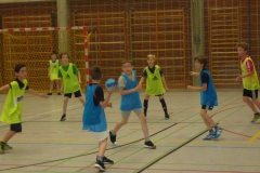 Schulhandballcup11