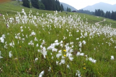 Spitzingsee25