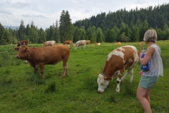Spitzingsee64