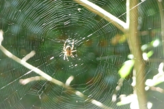 GG_Bad_Reihenhall012