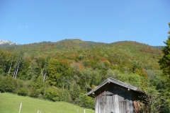 GG_Bad_Reihenhall015