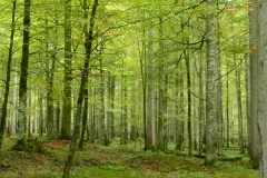 GG_Bad_Reihenhall045