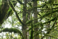 GG_Bad_Reihenhall046