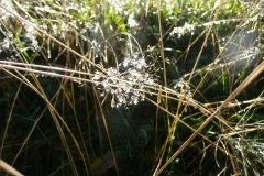 GG_Bad_Reihenhall073