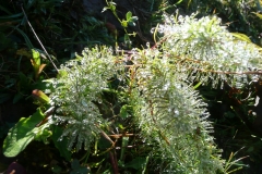 GG_Bad_Reihenhall075