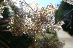 GG_Bad_Reihenhall077