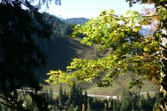 GG_Bad_Reihenhall079