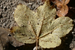 GG_Bad_Reihenhall096