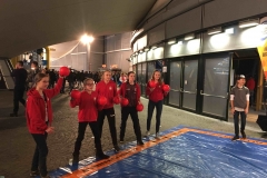 wD_HandballWM_3