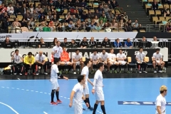 wD_HandballWM_6