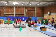 Bengerl2019_091