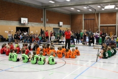 Bengerl2019_116