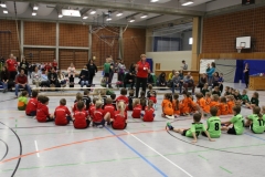 Bengerl2019_119