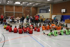 Bengerl2019_120