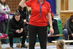 Bengerl2019_121