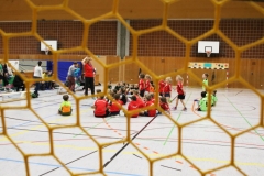 Bengerl2019_124