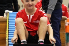 Bengerl2019_133