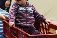 Bengerl2019_146