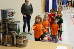 Bengerl2019_154