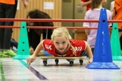 Bengerl2019_175