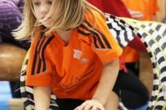 Bengerl2019_189