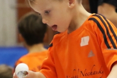 Bengerl2019_196
