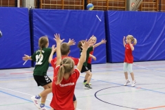 Bengerl2019_206