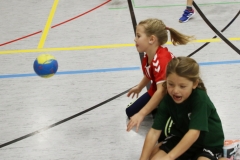 Bengerl2019_214
