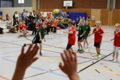 Bengerl2019_219