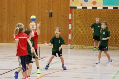 Bengerl2019_220
