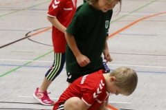 Bengerl2019_221