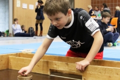 Bengerl2019_226