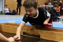 Bengerl2019_227