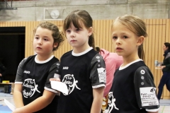 Bengerl2019_232