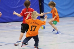 Bengerl2019_270