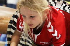 Bengerl2019_294