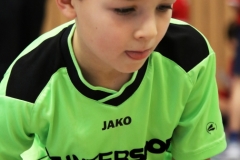 Bengerl2019_297