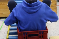 Bengerl2019_300