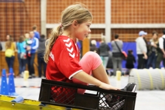 Bengerl2019_305